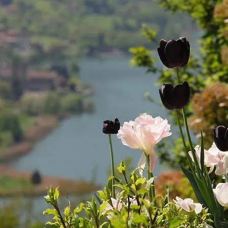 Holiday home Il Lago Racconta *