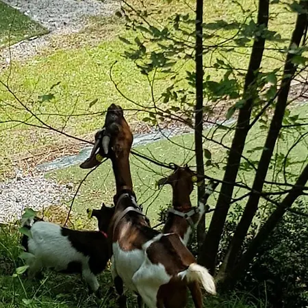 Il Lago Racconta *